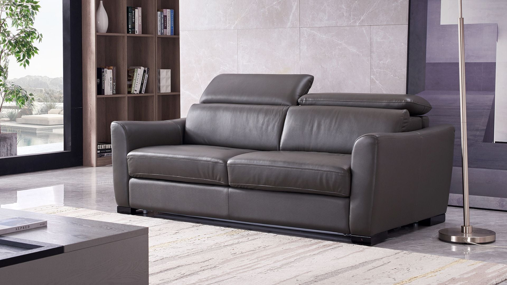 sleeper couch