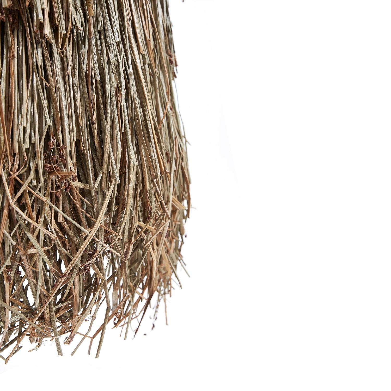 Wayan Lamp Lamp Lemons & Me