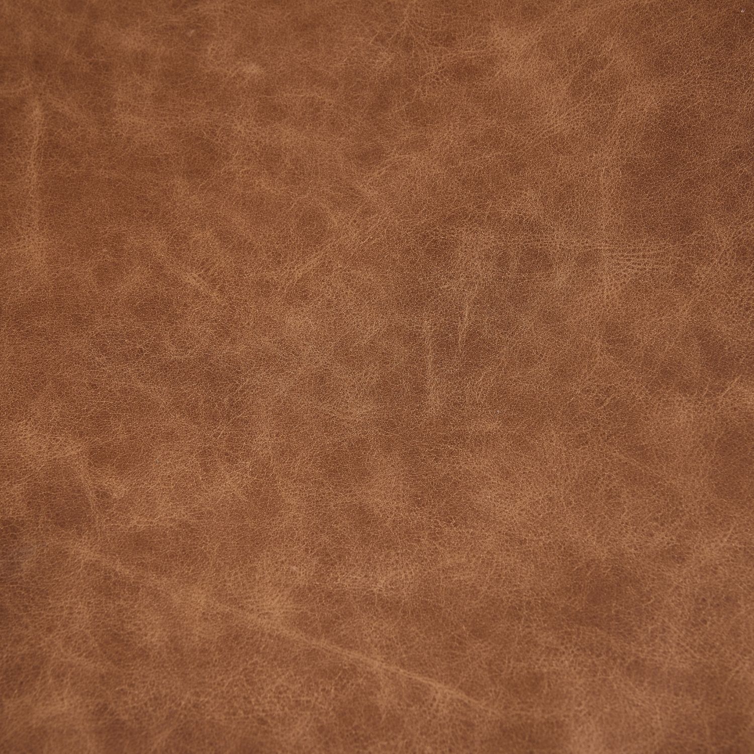 Ovo Chair Chair Foundry