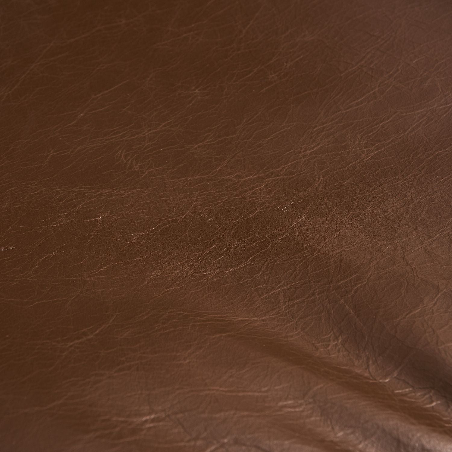 Ovo Chair Chair Foundry